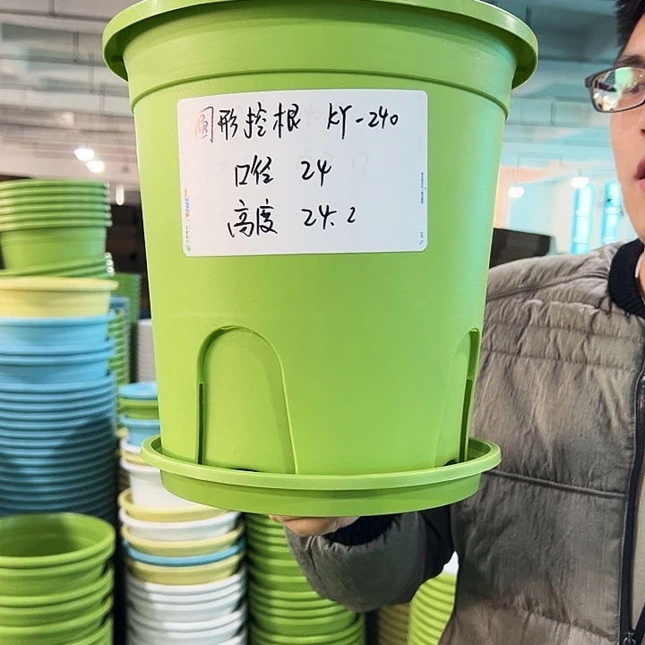 正品圆控口24高24果绿带托8只