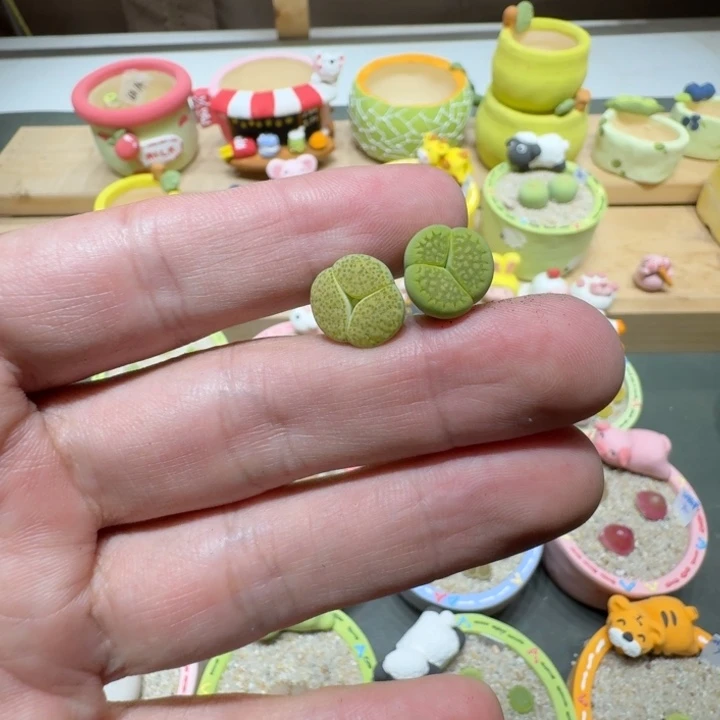 小*蘑菇296花花花花