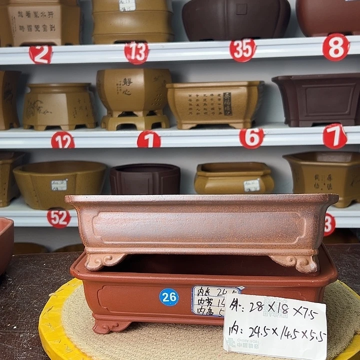 紫砂花盆你在一起