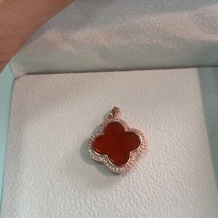 成***哥南红玛瑙银S925镶嵌颈饰