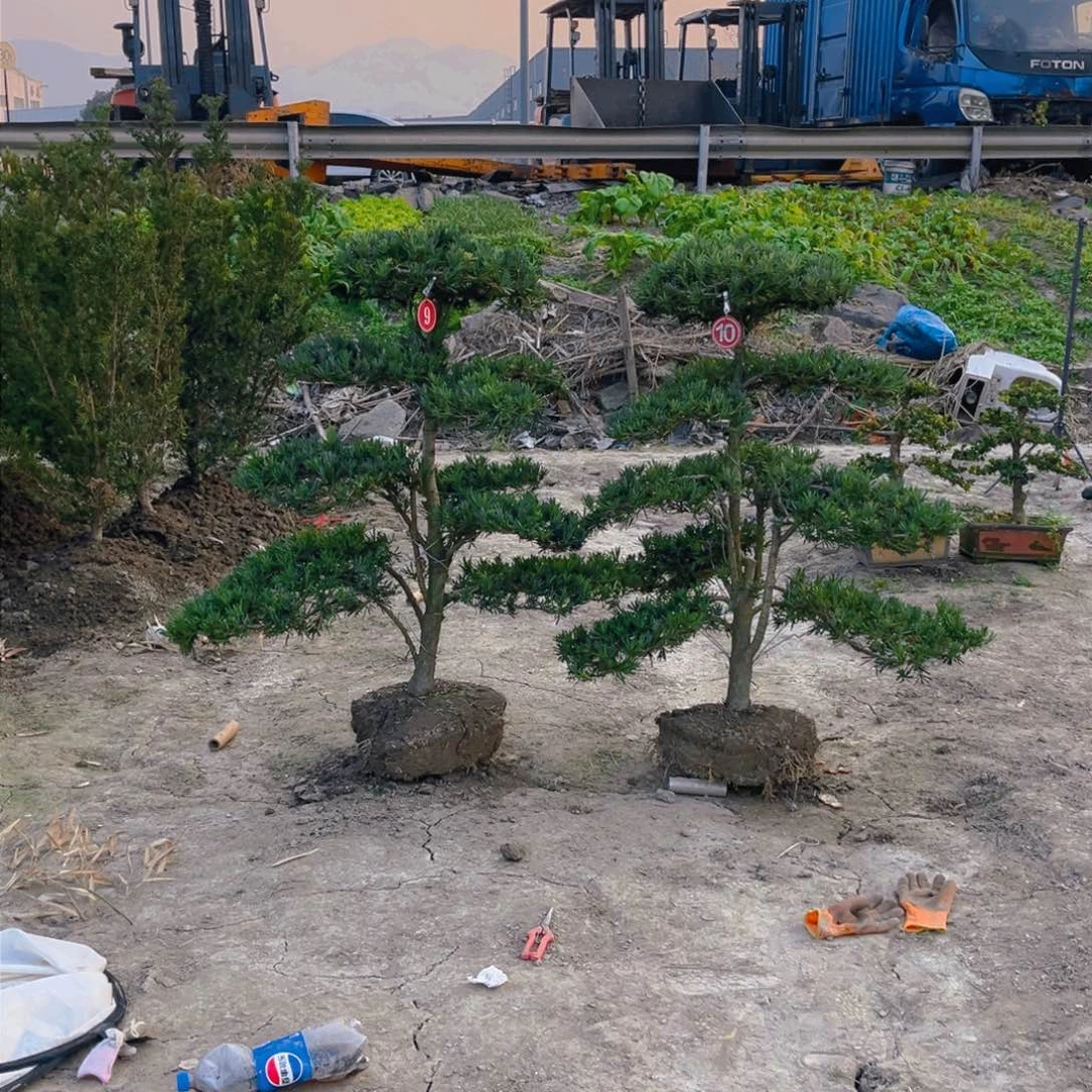 李*富147852369852658952368