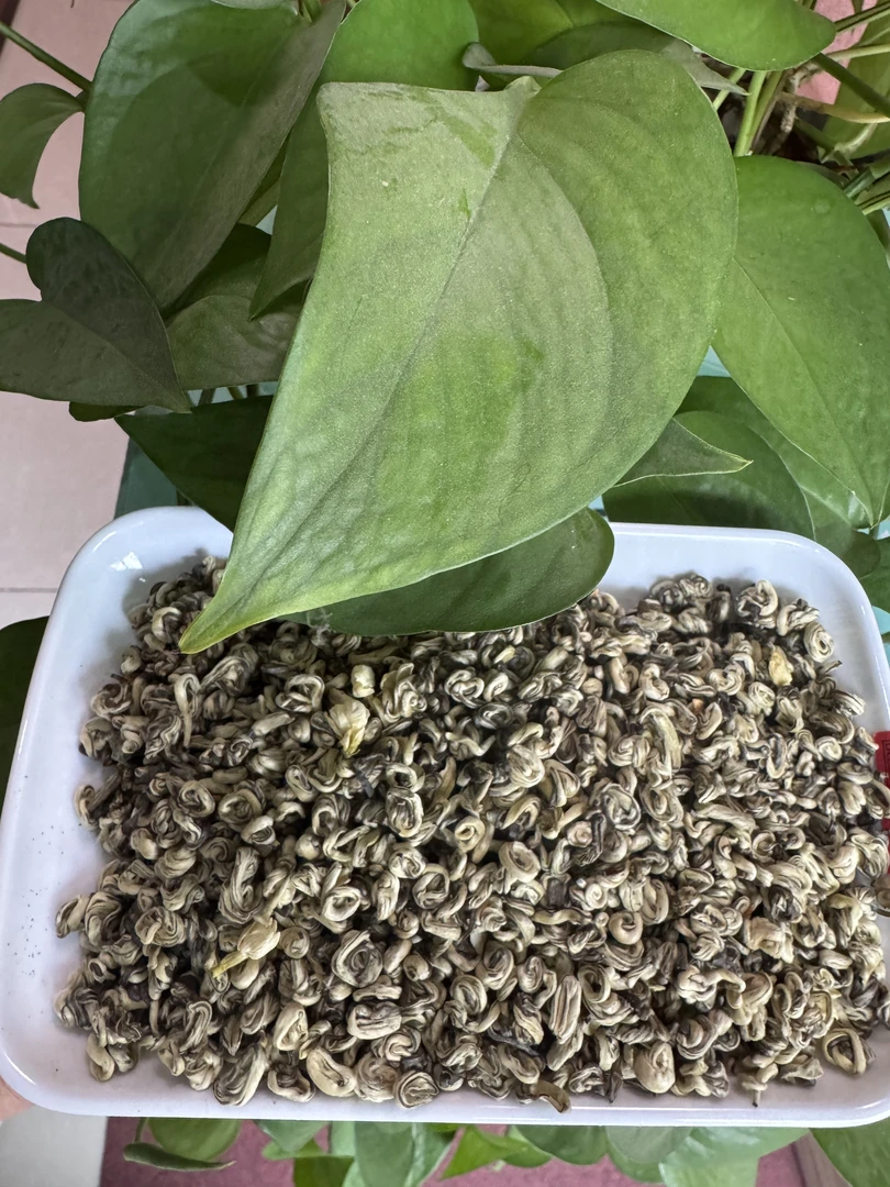 茉莉白玉螺(金玉螺)茉莉花茶特级浓香耐泡球状新茶