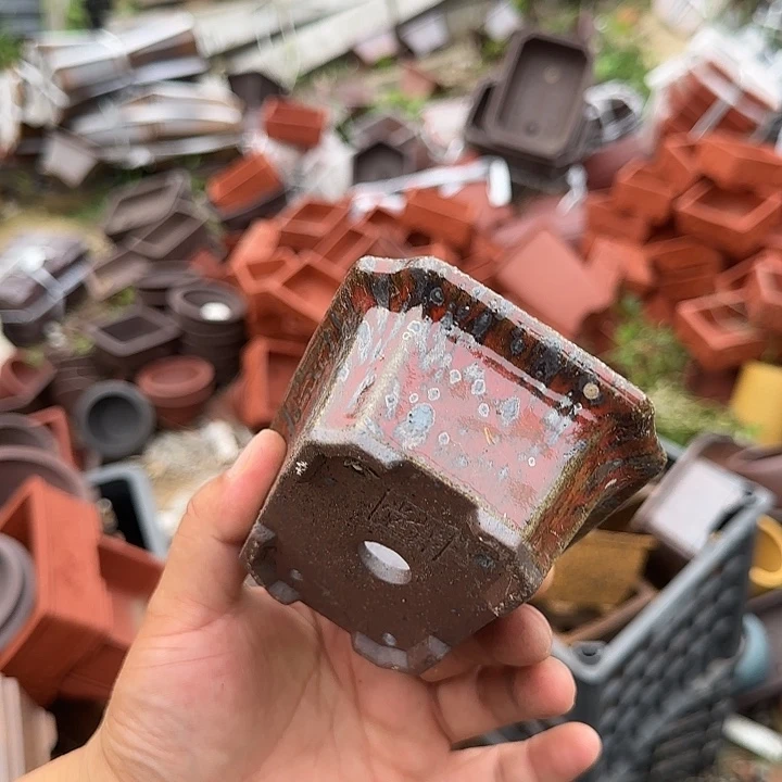 不用来咯哦啦啊哦啊啦的