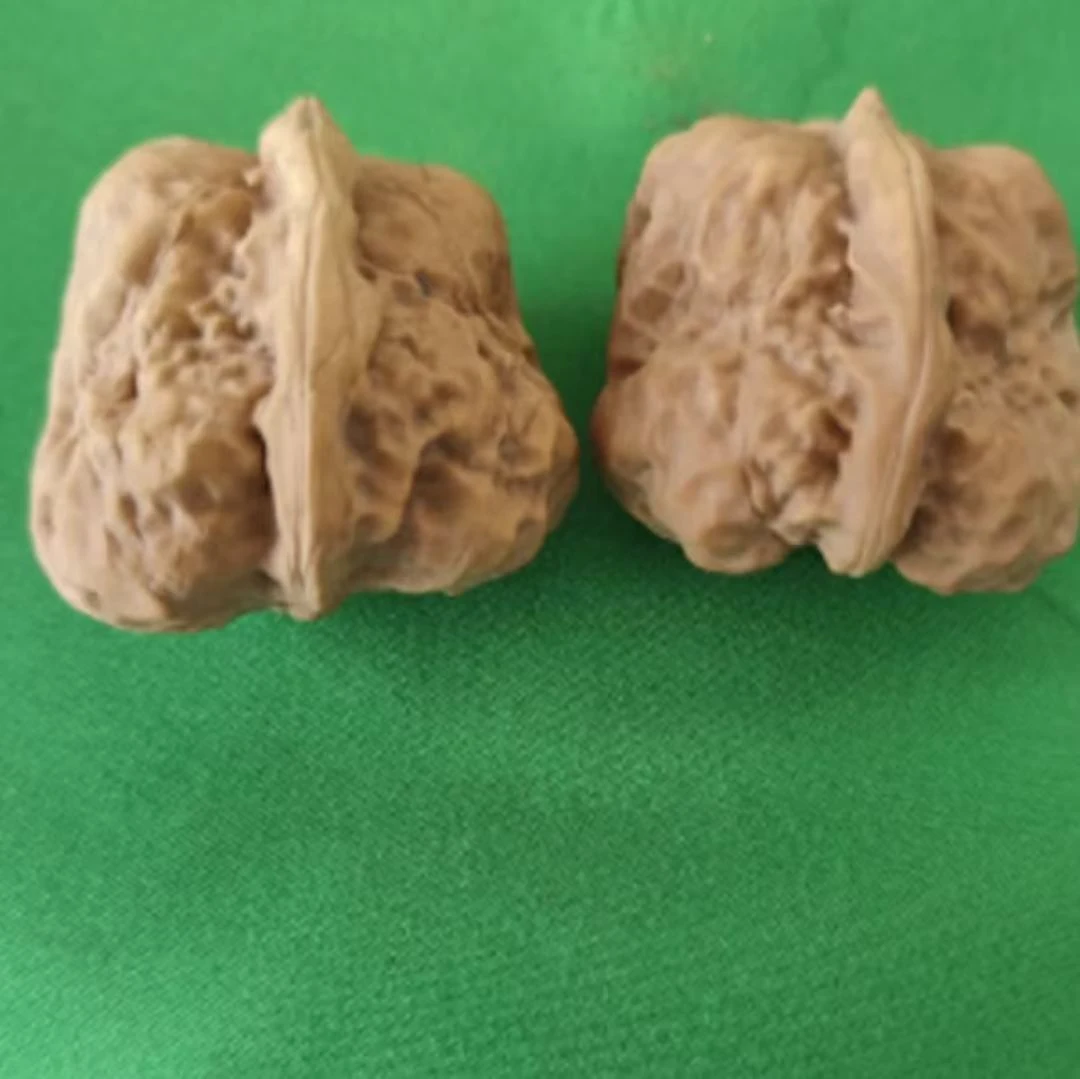 麻核桃种子一对2个