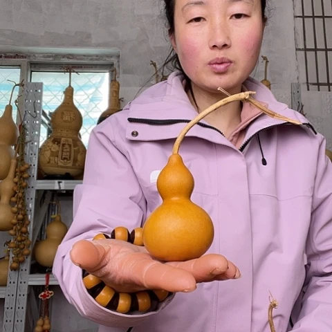 R**k天然植物葫芦文玩