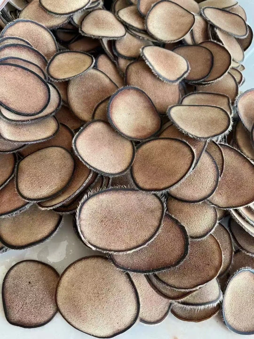 梅花鹿干鹿茸片 粉片 产地发货