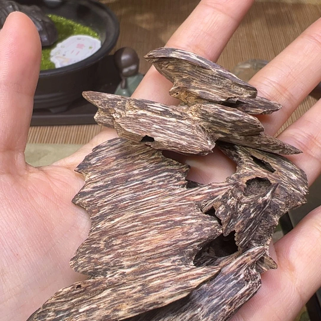 木海南黎母山红油老料12克