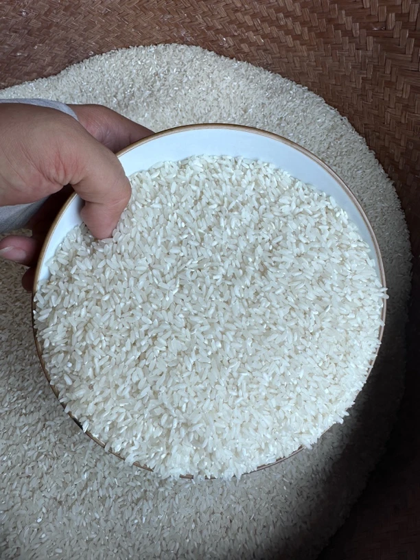 【蛟哥土特产】永嘉高山大米