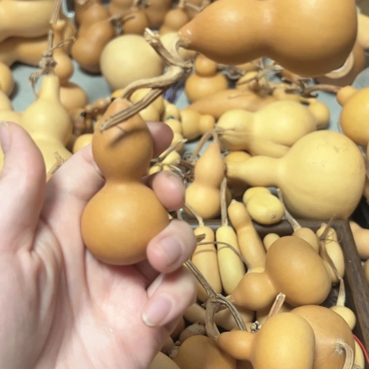 隐***山葫芦葫芦葫芦葫芦葫芦