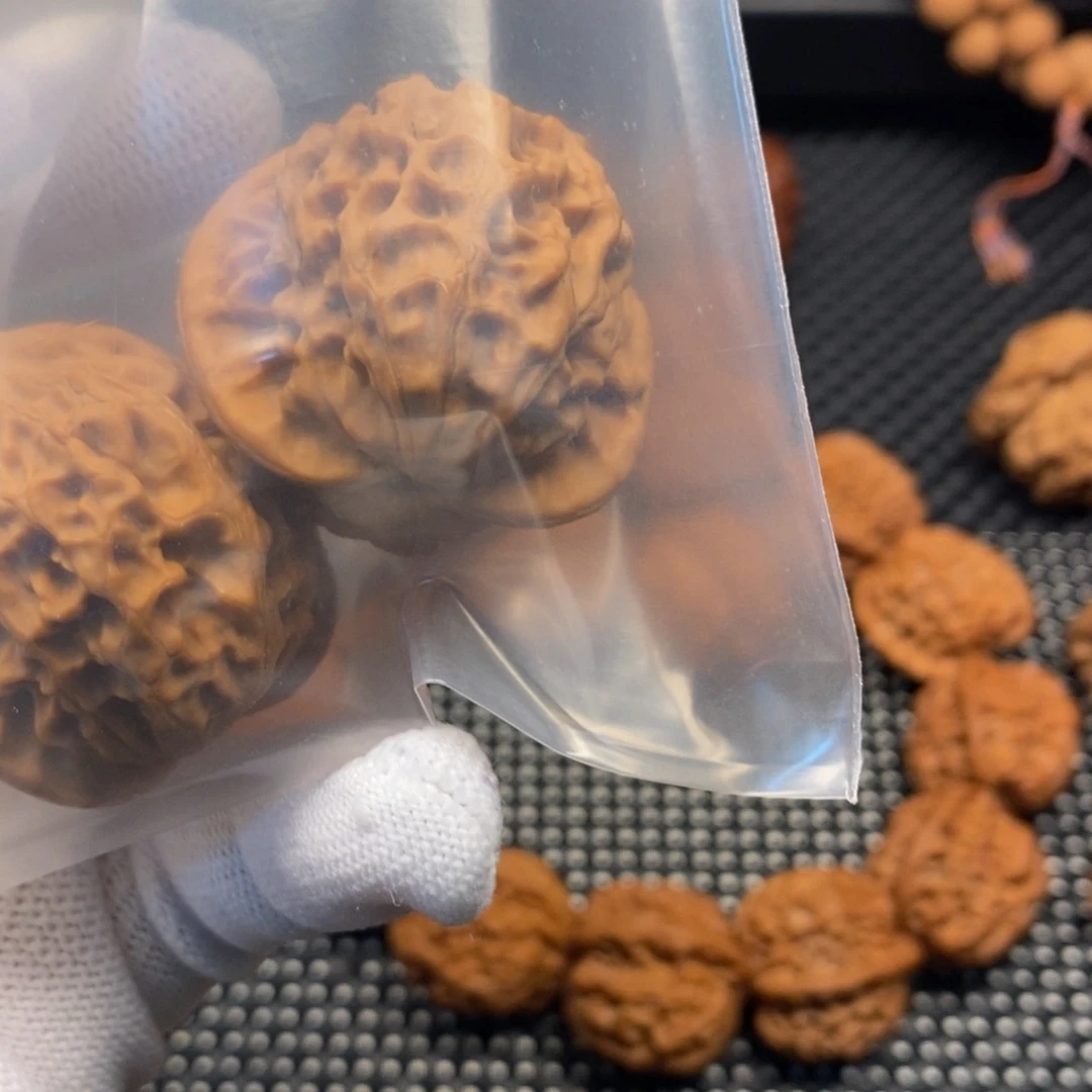 S***I秦岭森林茂密和植被