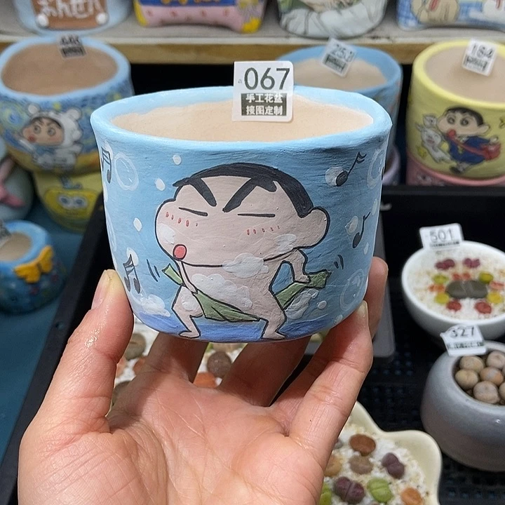 大舅生石花肉锥多肉067