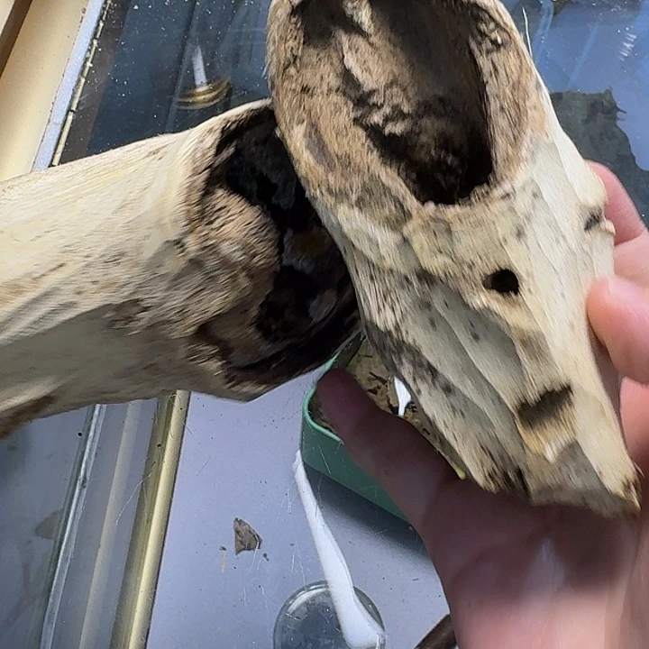 沉香枕沉香沉香料子