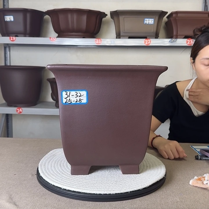 花盆紫砂紫砂花开
