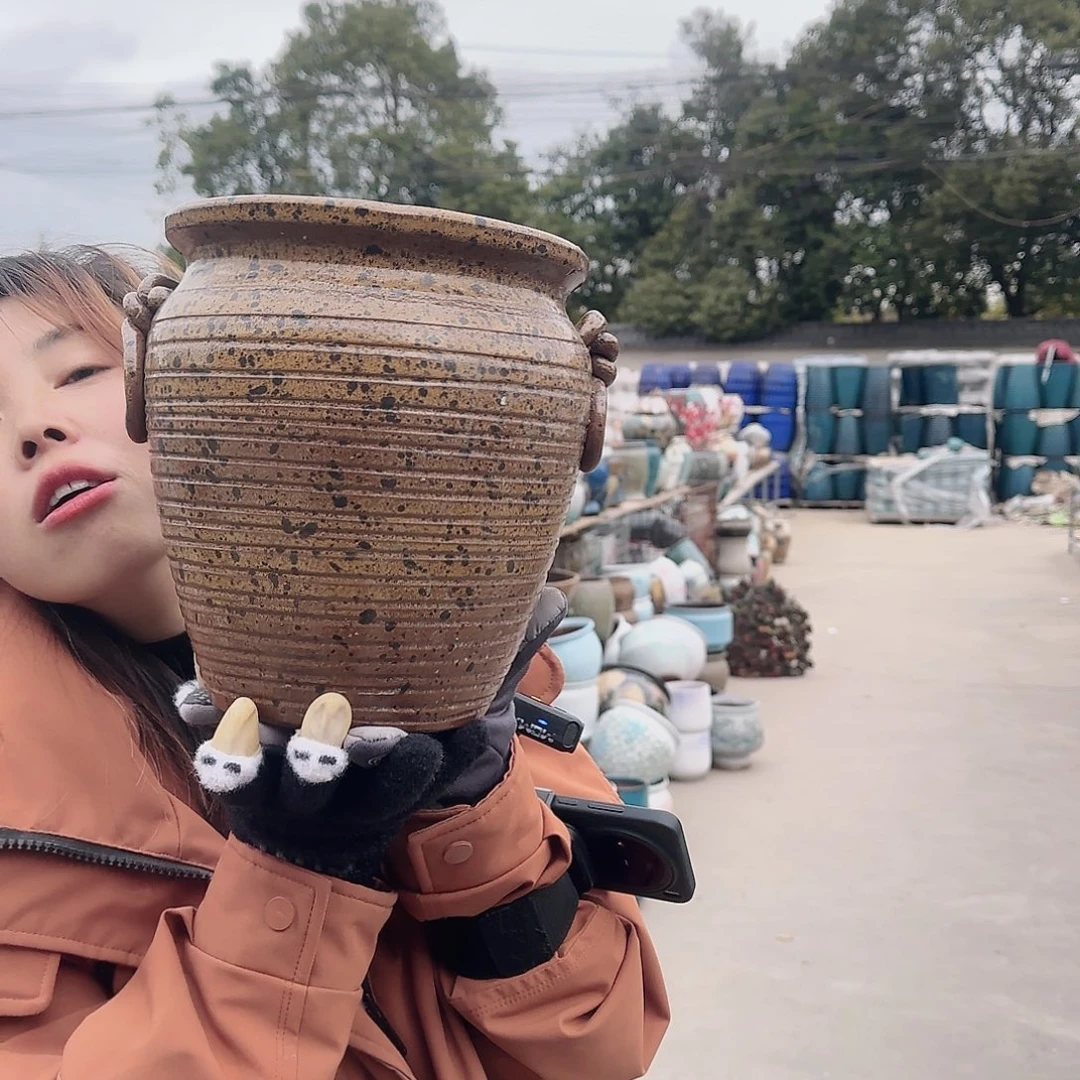 王嫂花盆1212-336高21口19