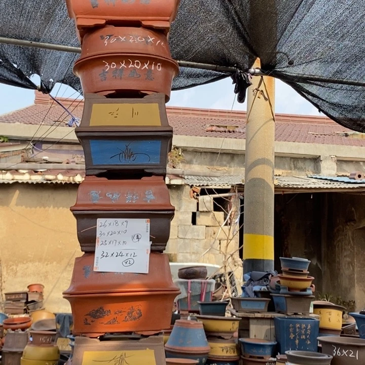 红陶你在我心里是一种