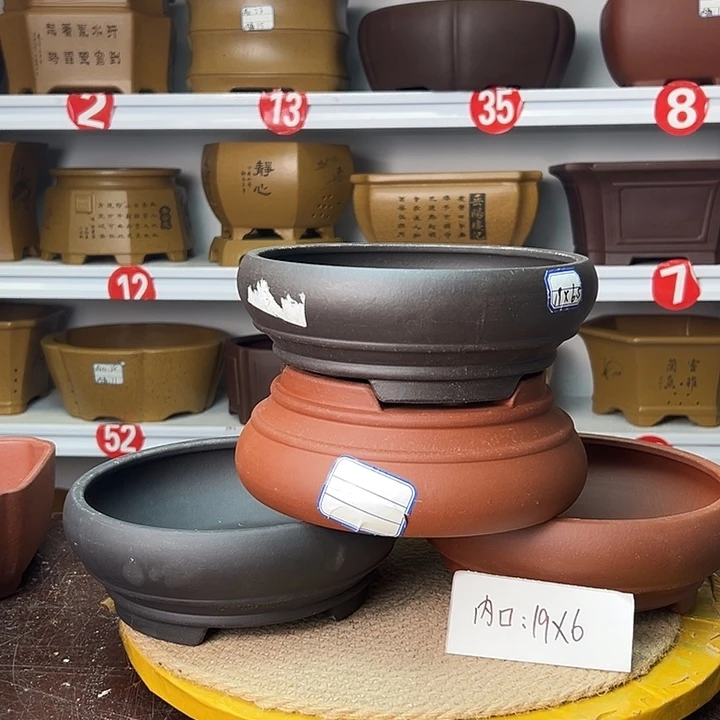 紫砂花盆你在一起