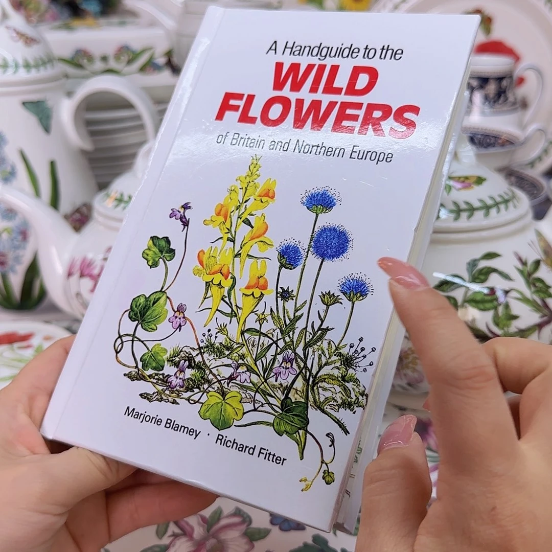 欧洲瓷器收藏鉴赏