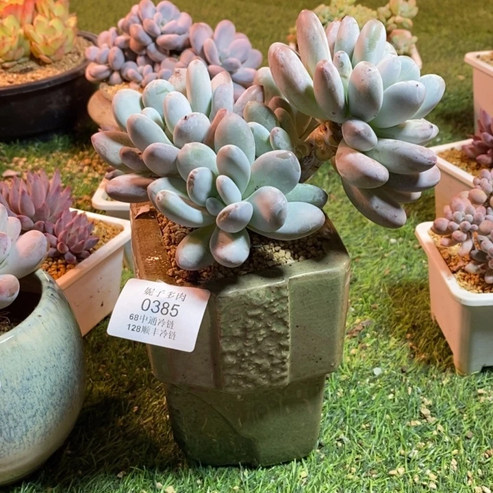 0385啊啊啊啊啊啊啊啊啊啊啊