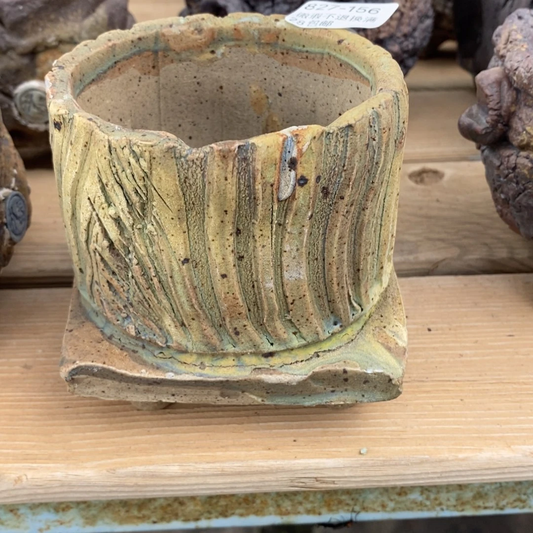 156号多肉盆口径8