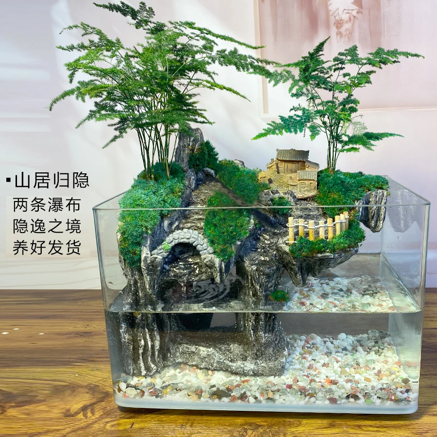双流水-山居归隐-35大缸造景-微景观鱼缸桌面办公室盆景创意绿植