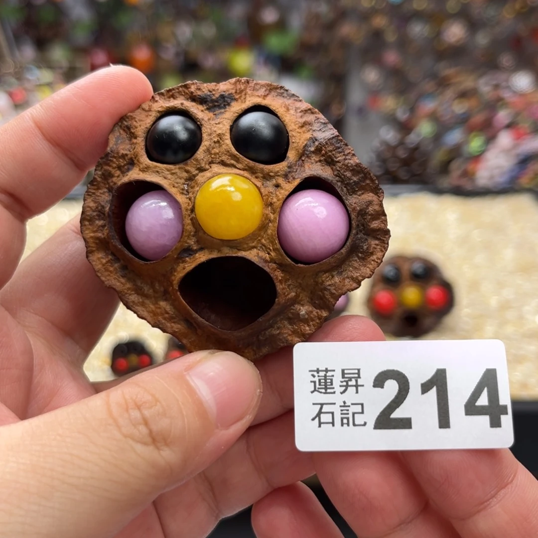 核桃木/黑胡桃（胡桃木）214卡5➕合唱团