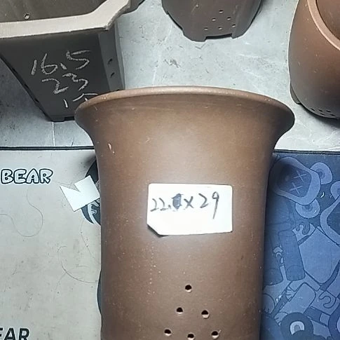 莲花金钟一个花盆