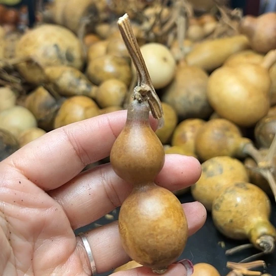 _***@葫芦葫芦葫芦葫芦