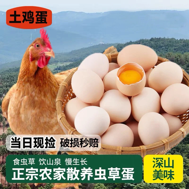 【50枚精选营养土鸡蛋】正宗农家散养散放新鲜现捡谷物喂养鸡蛋