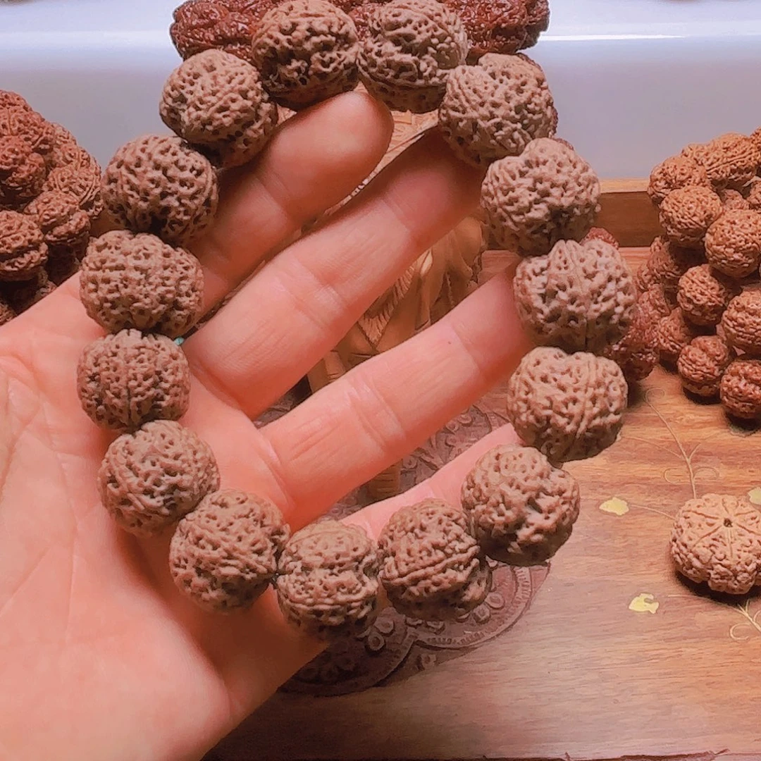 梁***飞金刚菩提手串L267/24mm 五星蜂王