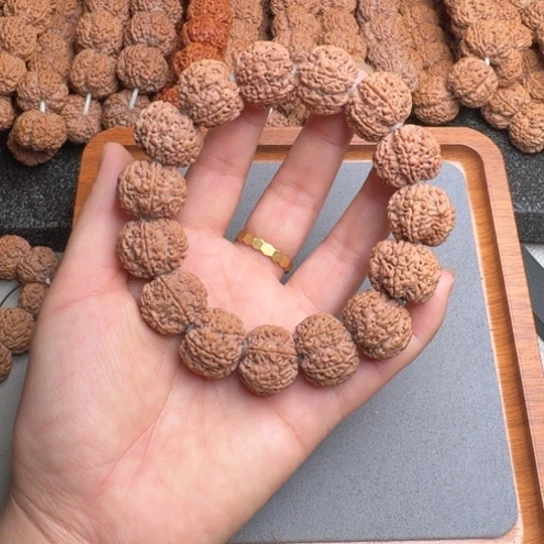 菩提11号尼泊尔大金刚21六瓣梅花