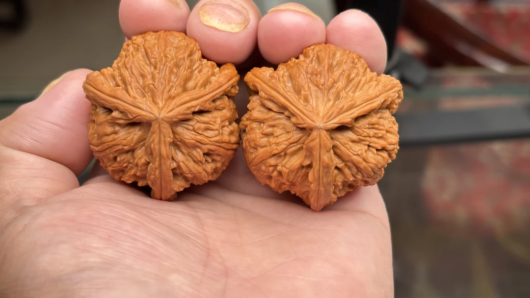 精品42白狮子三棱文玩核桃凤凰蛋手把件核雕虎头三棱核桃核桃文玩