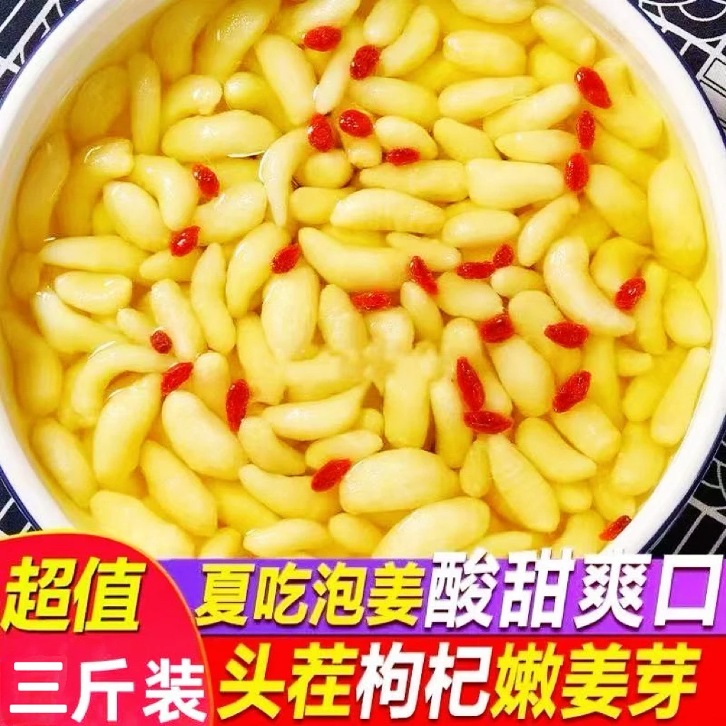 【到手三斤】正宗新鲜腌制枸杞嫩姜芽酸甜脆口开胃下饭腌制包邮