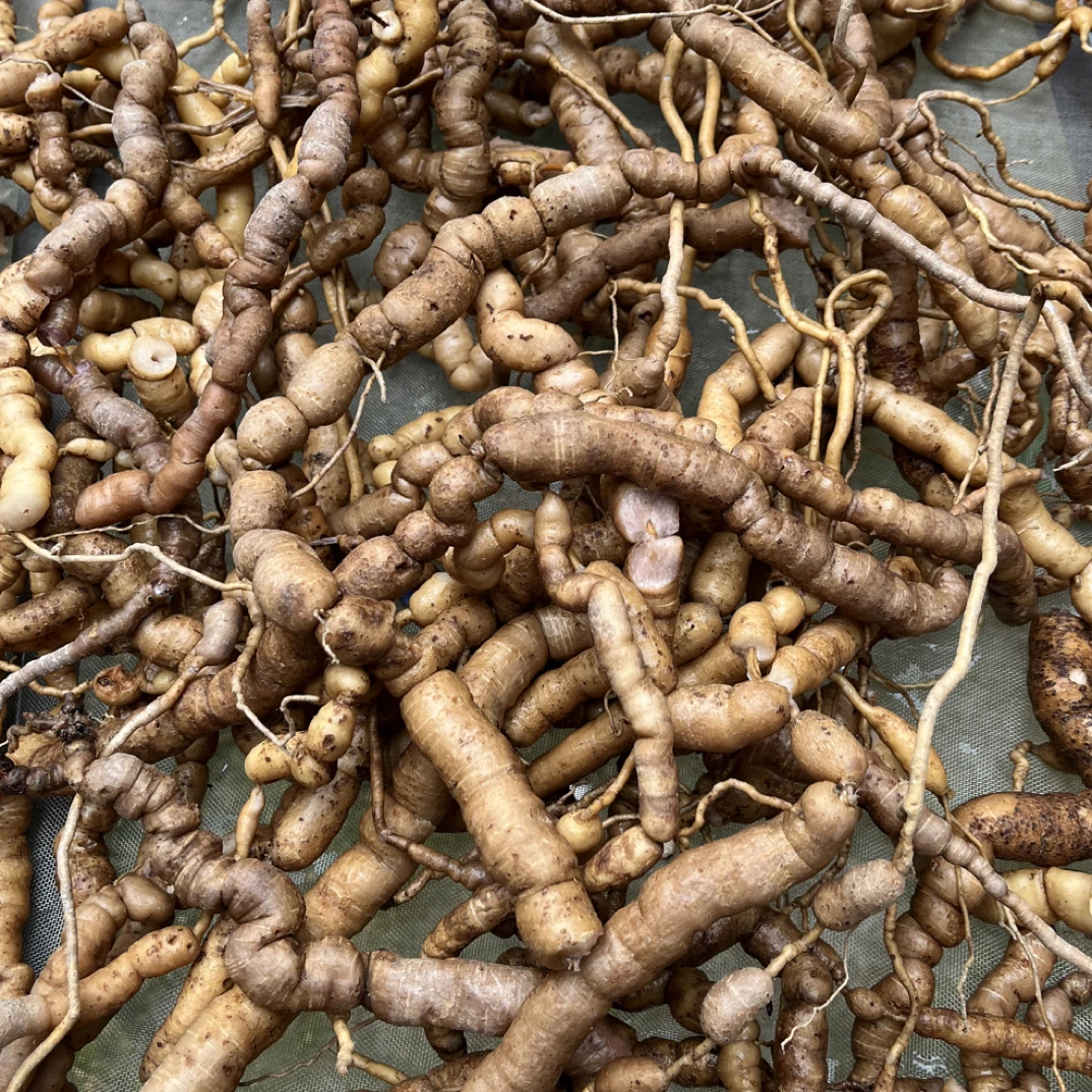 阿奕.鸡肠薯（三蒸三晒）250克(野生)