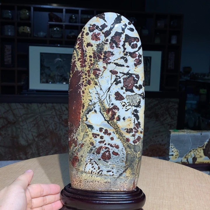 广西国画石摆件，观赏收藏