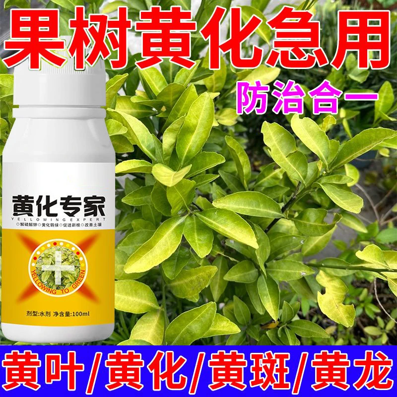 柑橘黄叶柑橘黄化枯萎全治桔子防治微生物菌剂橘子树柑橘黄化修复
