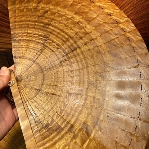 楠木（金丝楠）其他