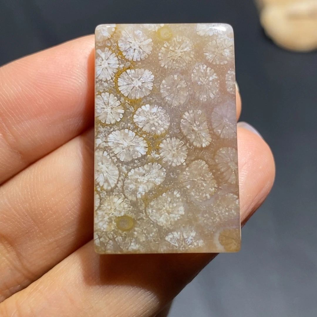 【闪购商品】未镶嵌珊瑚玉硅化玉