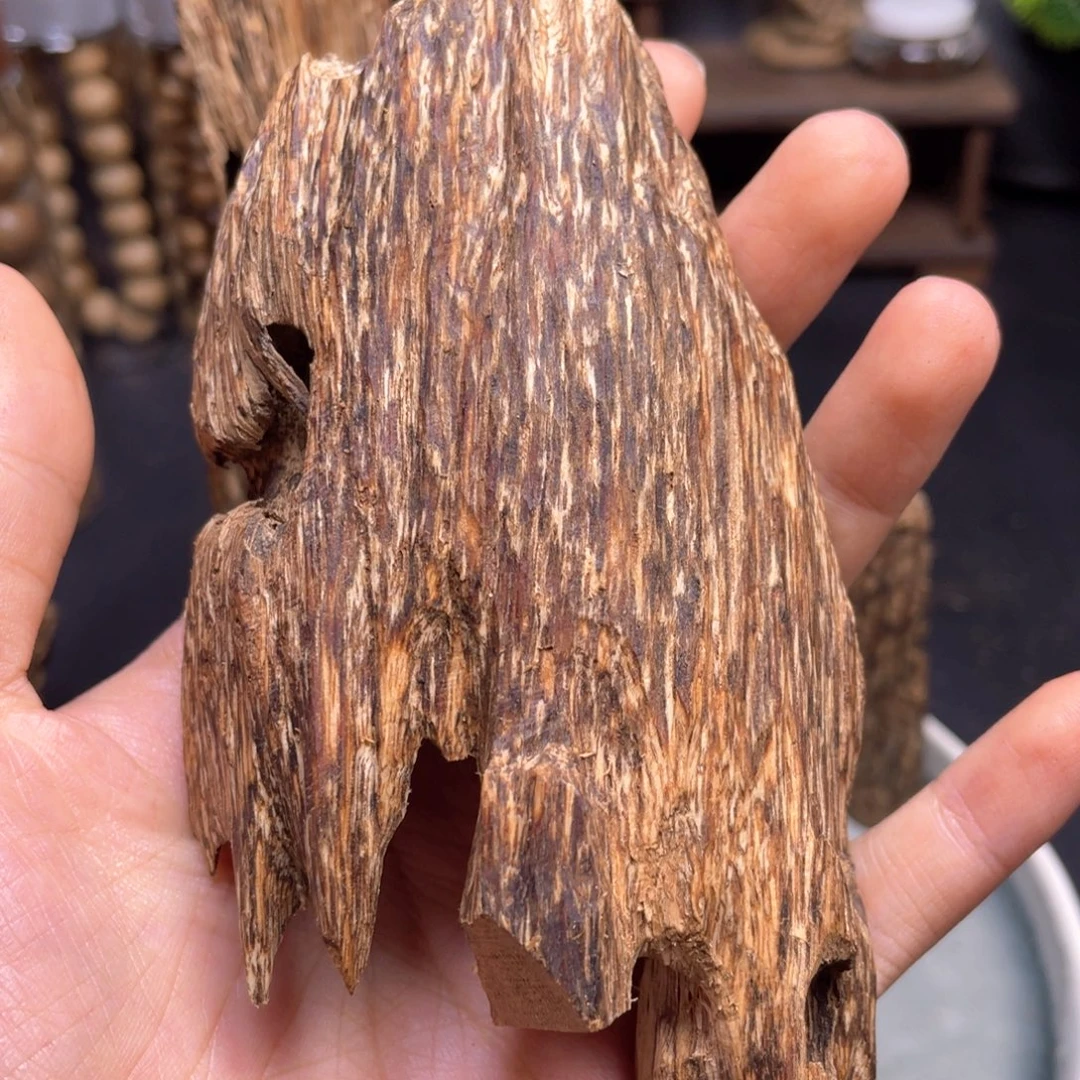 山***崖香榧木40克海南尖峰岭虫漏香