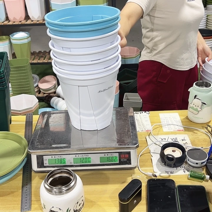 青山盆口21高21无托混色10只