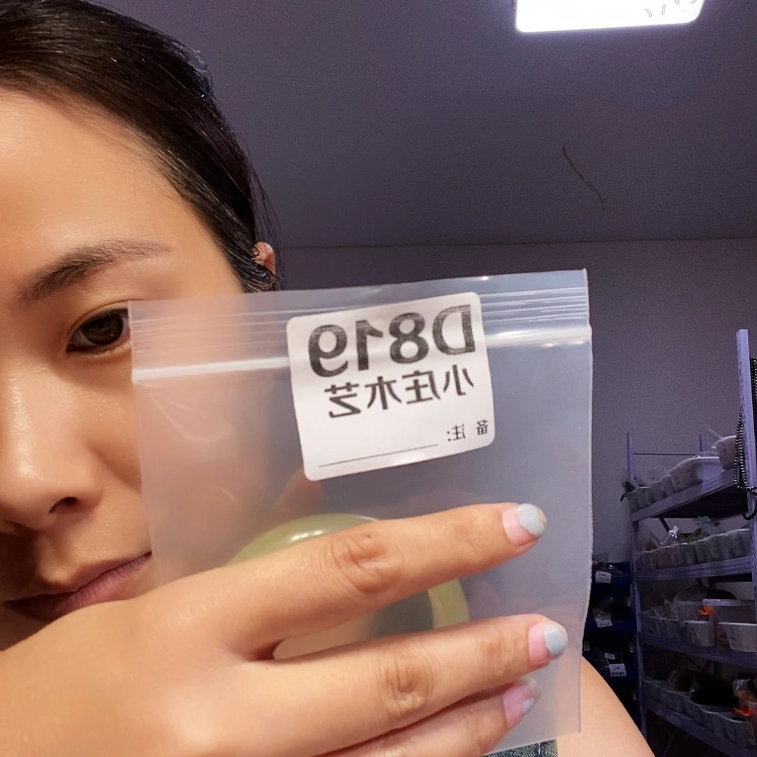 【闪购商品】洋*黑檀木，风车木819