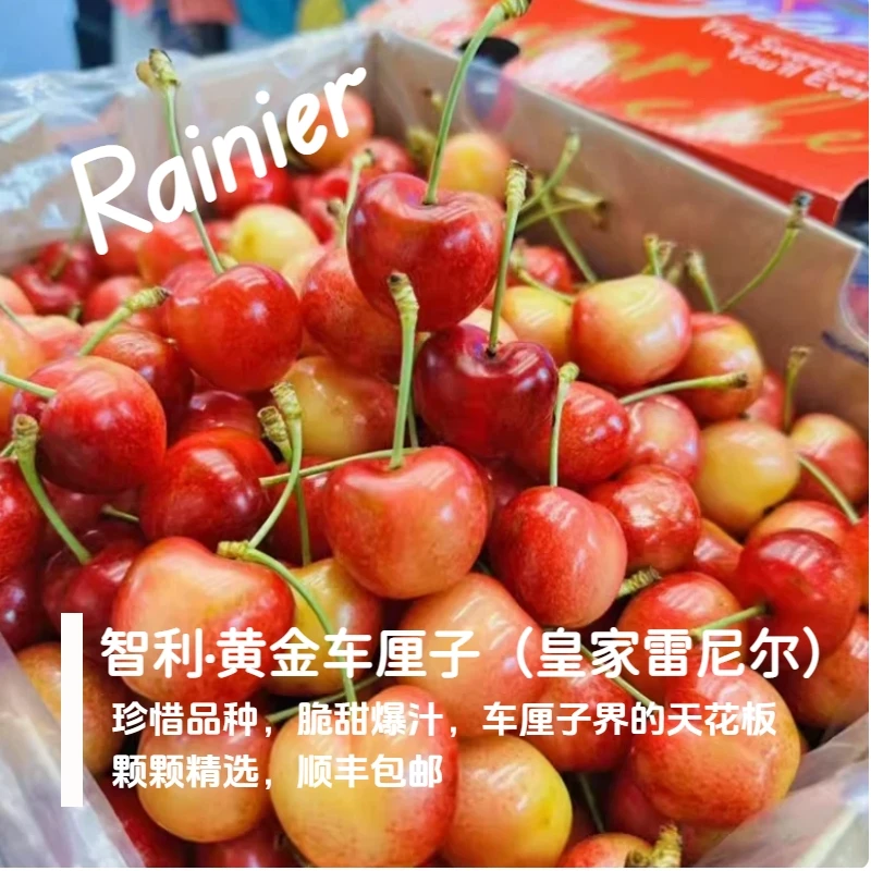 【1J高品质黄车次日达A】黑金黄车4斤智利空运皇家雷尼尔黄金车厘子内附果径卡雷尼尔樱桃智利共和国