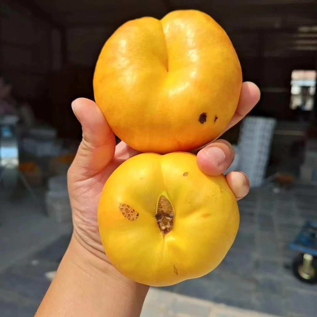 黄油蟠桃紫金彩虹油蟠桃新鲜应季水果蒙阴蜜桃爆炸桃裂口桃斑点桃