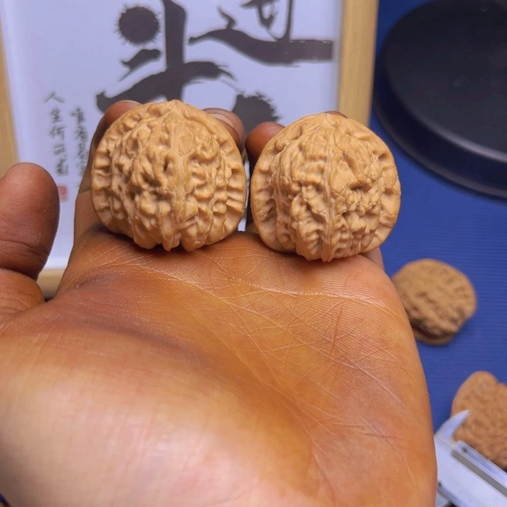 三角白白狮子差尺福利