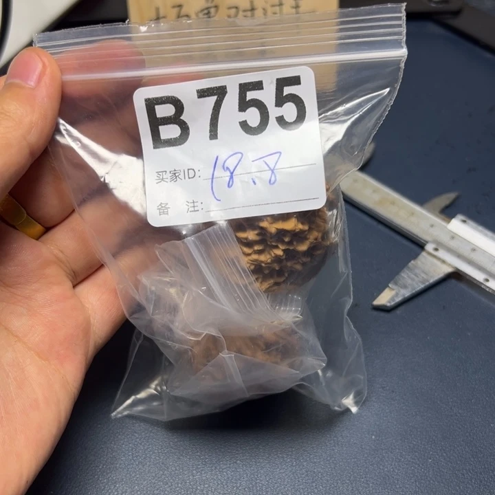 哈哈哈哈我的小可爱