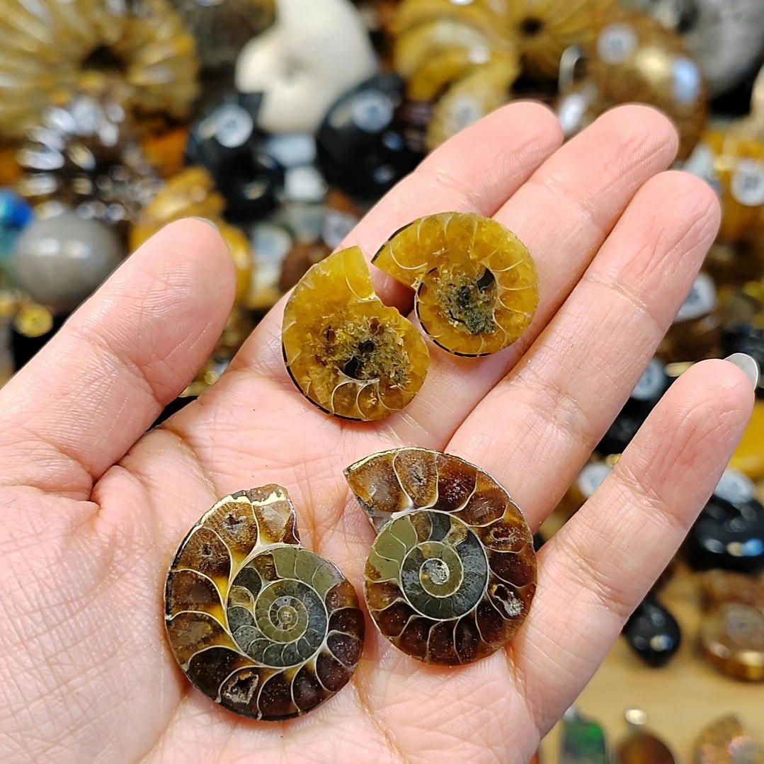 2对 小切片全玉化