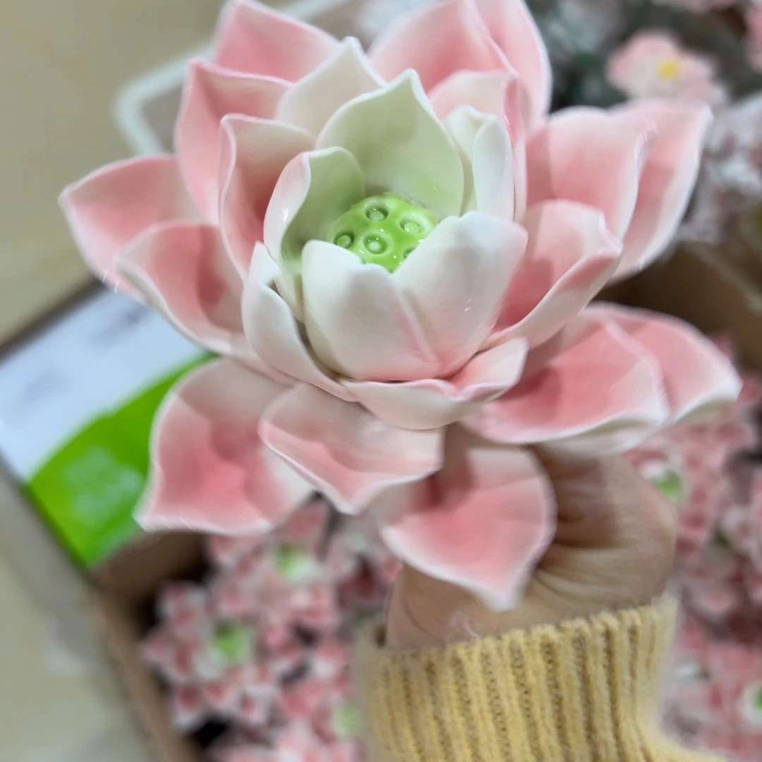 陶瓷花拍满20元发货退款的拉黑