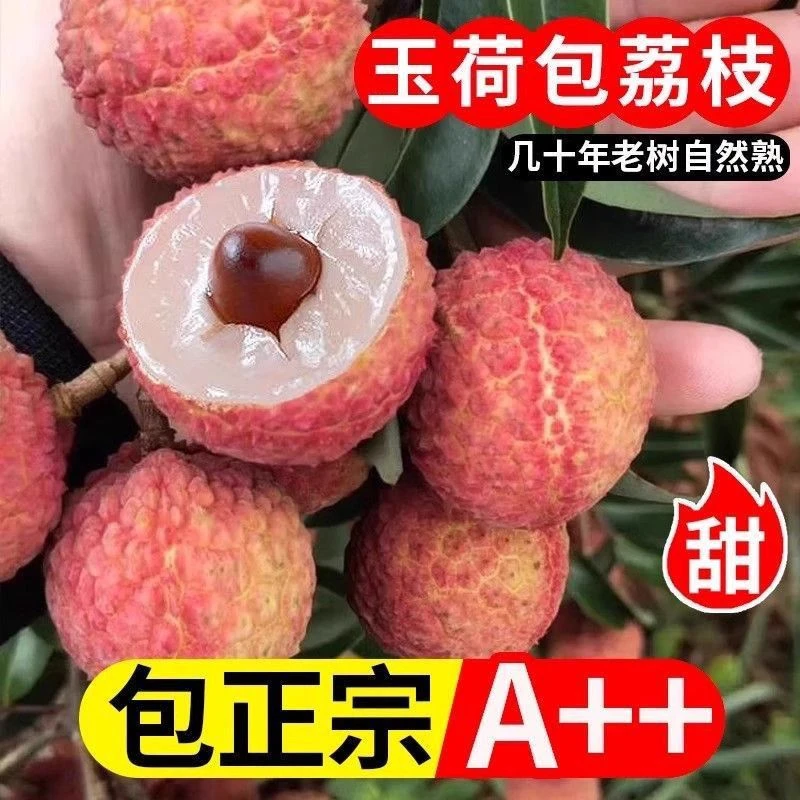 【京东冷链】正宗福建漳州玉荷包荔枝新鲜发货现摘现发多汁当季水果