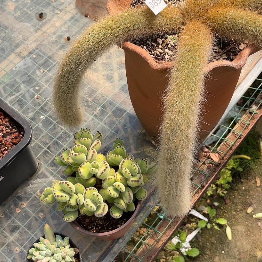 ζ***晓089。 111111111