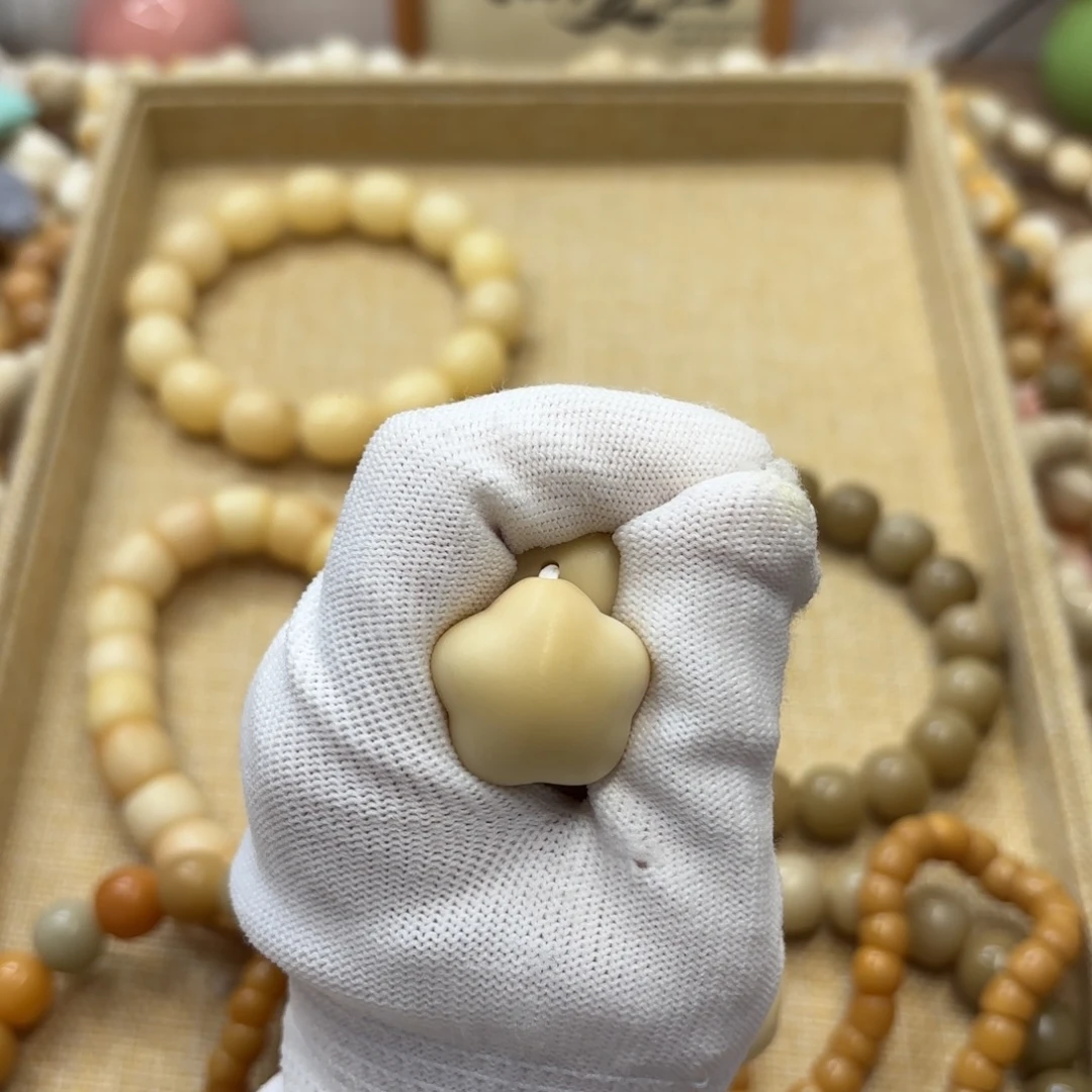 吊坠菩提根/象牙果25干磨牙果奶黄星星一颗