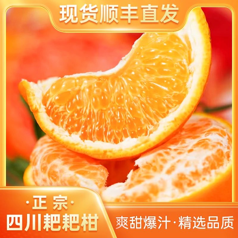 【坏果包赔】任记【爆粒甜心】四川春见耙耙柑新鲜现摘产地【顺丰】直发